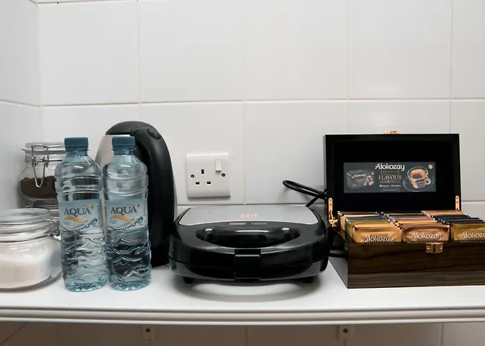 Youthfull Escape In Apartment